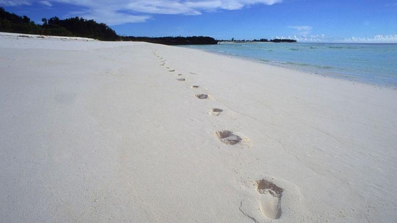Why a tiny island's fate could decide Seychelles' next president
