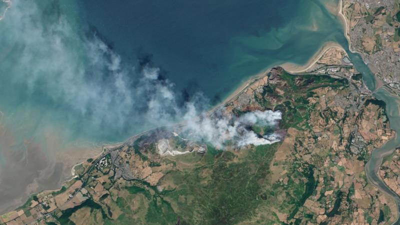 Wildfire-ravaged habitats in Wales could take centuries to recover, environmentalists say