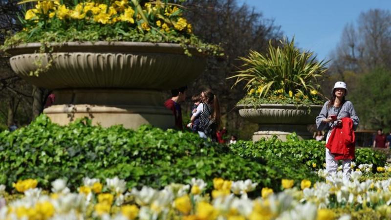 Spring temperatures to bounce back next week after cold snap