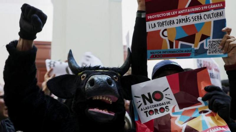 Colombian Congress Votes To Ban Bullfighting - BBC News