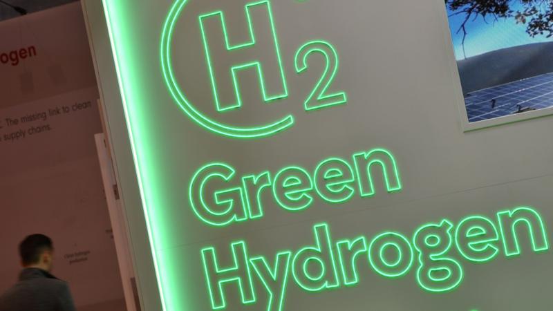 Why time is running out for Germany's green hydrogen industry