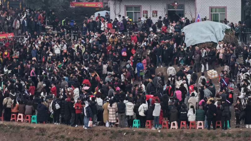 Chinese woman's plea for help killing pigs draws thousands to her village
