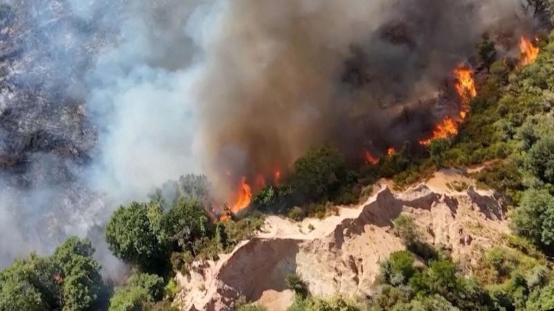 Watch: Europe's wildfires seen from above