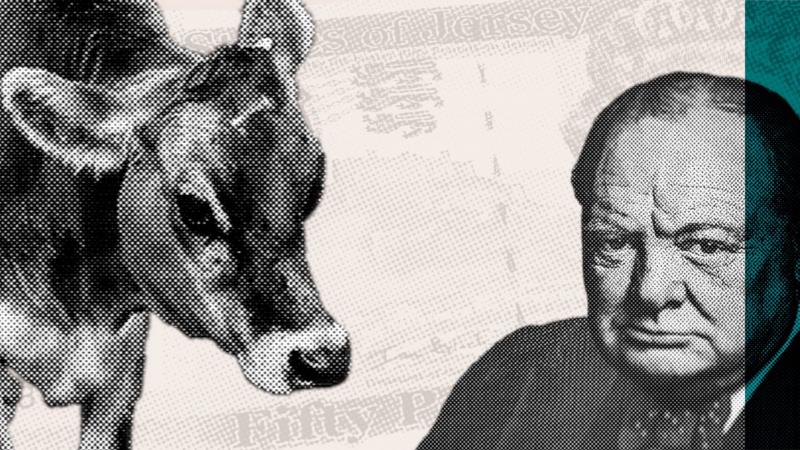 Should Jersey follow English banknote design?