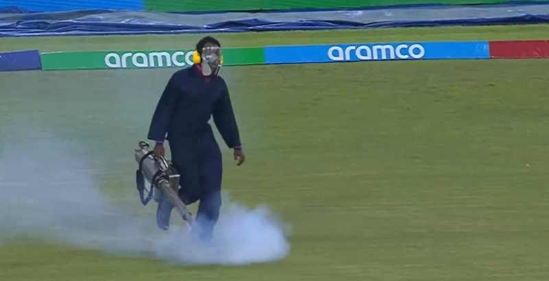Watch: Moment Cricket World Cup match is stopped after insect infestation