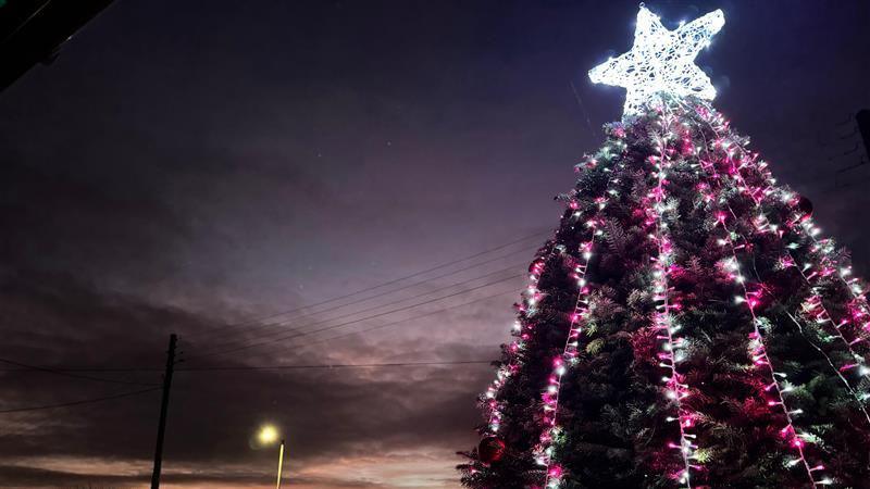 A large Christmas tree with lights and a sunset behind