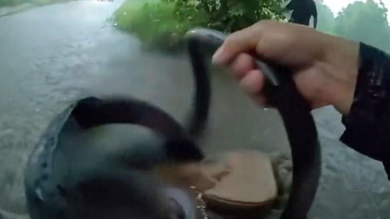 Watch: Texas police rescue baby from car stuck in floodwater