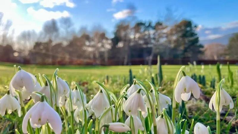 UK basks in sunshine ahead of snow and ice weather warnings