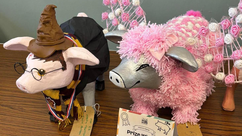 A pig dressed like Harry Potter on the left, wearing the black Hogwarts robes, scarf, Harry Potter round glasses, the arting hat and having the lightning-bolt scar painted on. He has an award medal on.
On the right is People's Vote winner Rosie the flying piggie. She is mostly pink and woolly with wings.