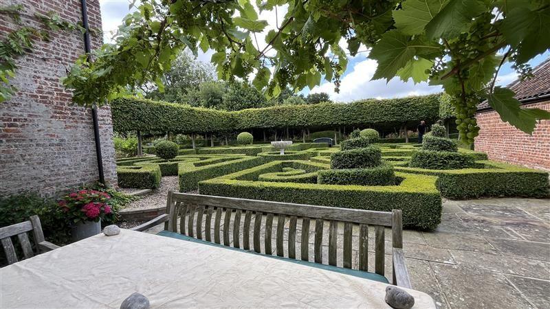Green hedges which can be seen over a table and bench.