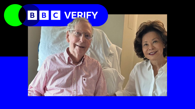 There's no evidence this Mitch McConnell photo is AI-generated