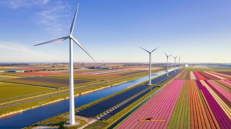 Netherland's renewables drive putting pressure on its power grid
