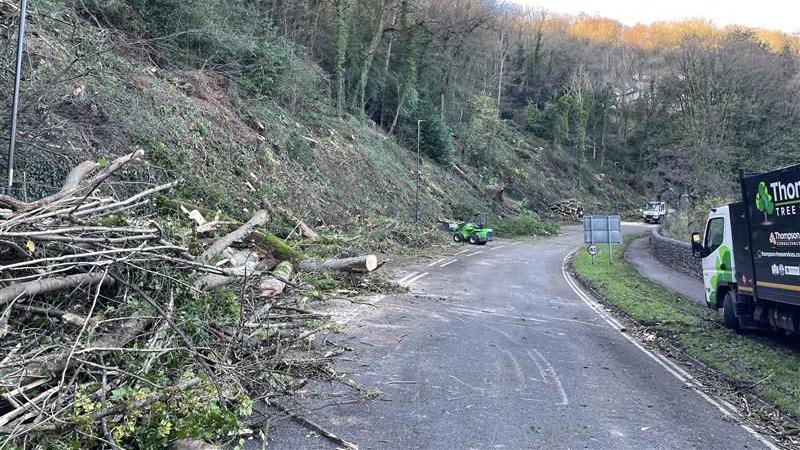 Logged trees on the side of the A6. There is machinery in the background as well.