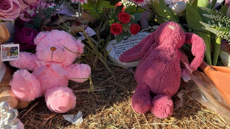 Child protection workers stood down after alleged murder of Australian girl