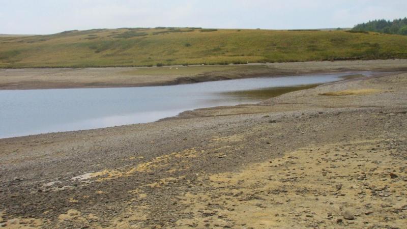 Drought declared across whole of Wales as conditions 'deteriorate'