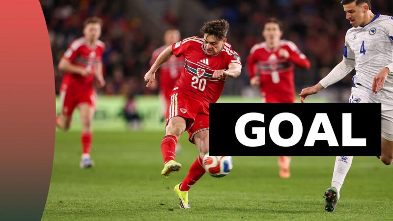 'Stunning, breathtaking, glorious!' James gives Wales lead against Bosnia