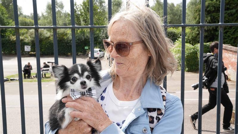 A small black and white dog is held in the hands of a woman with short grey hair who is wearing a blue jacket and a white T-shirt as well as sunglasses. The woman is looking down and smiling at the dog.