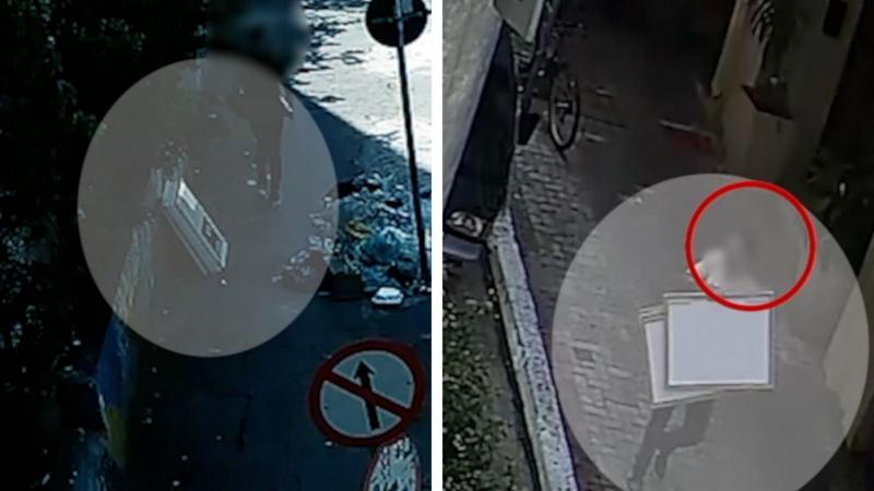 CCTV shows Matisse heist suspects making off with artworks on foot
