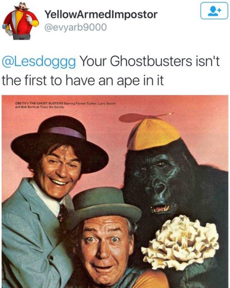 Image of tweet showing a gorilla, with comment: "Your Ghostbusters isn't the first to have an ape in it." = July 2016