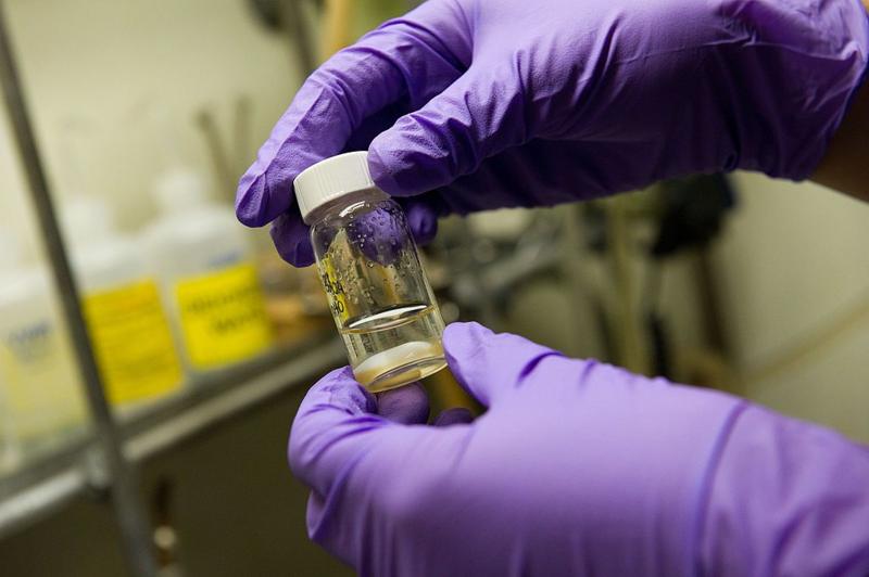 Single nasal spray vaccine could protect against all colds and flus, researchers say