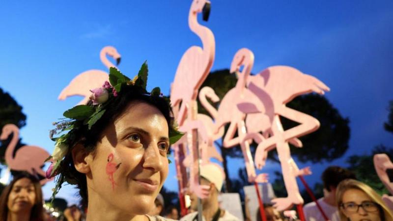 'Flamingo Revolution' takes off as thousands demand Albanian PM's resignation