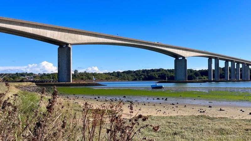 Brutal concrete bridge spanning river, with brown, reed flowers in the foreground