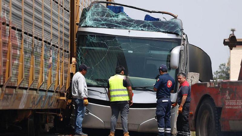 At least 10 dead after train crashes into bus in Mexico