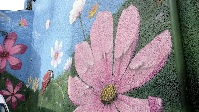 A painted pink flower close up on a blue wall, with painted green fields, a lady bird, and more flowers on the wall.
