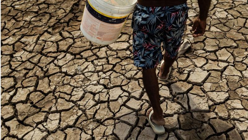 Drought Leaves Amazon Basin Rivers At An All-time Low - BBC News