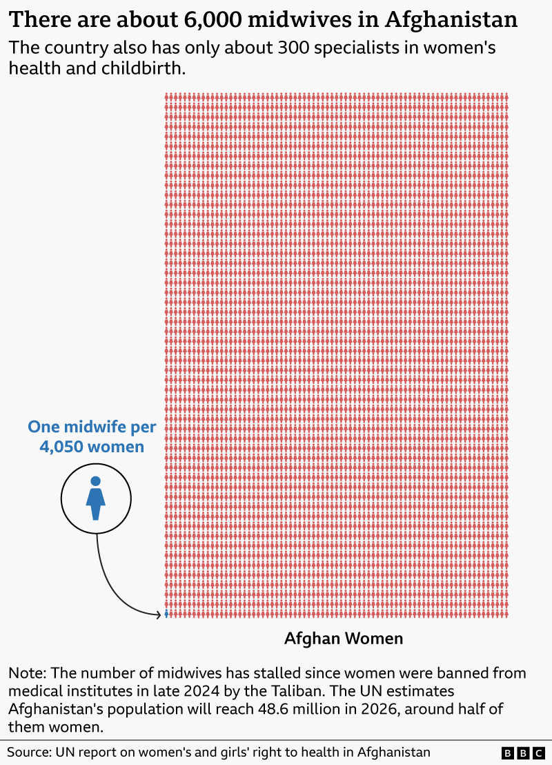 A graphic showing the proportion of Afghan midwives compared the number of women in the country. There is one midwife per 4,050 women