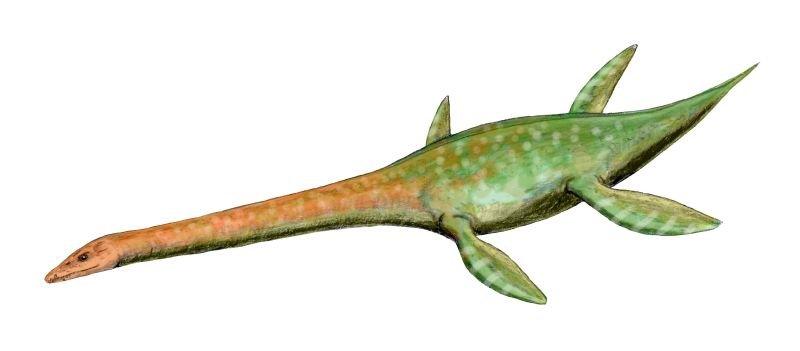 Attenborosaurus conybeare