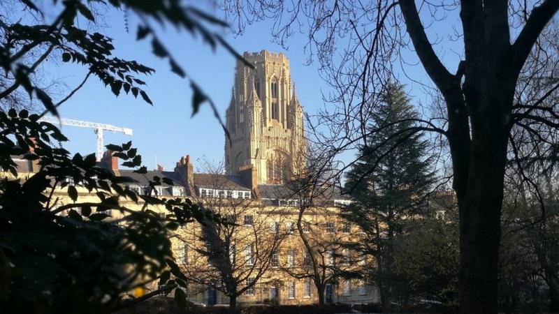 Colston dolphin removed from University of Bristol logo - BBC News