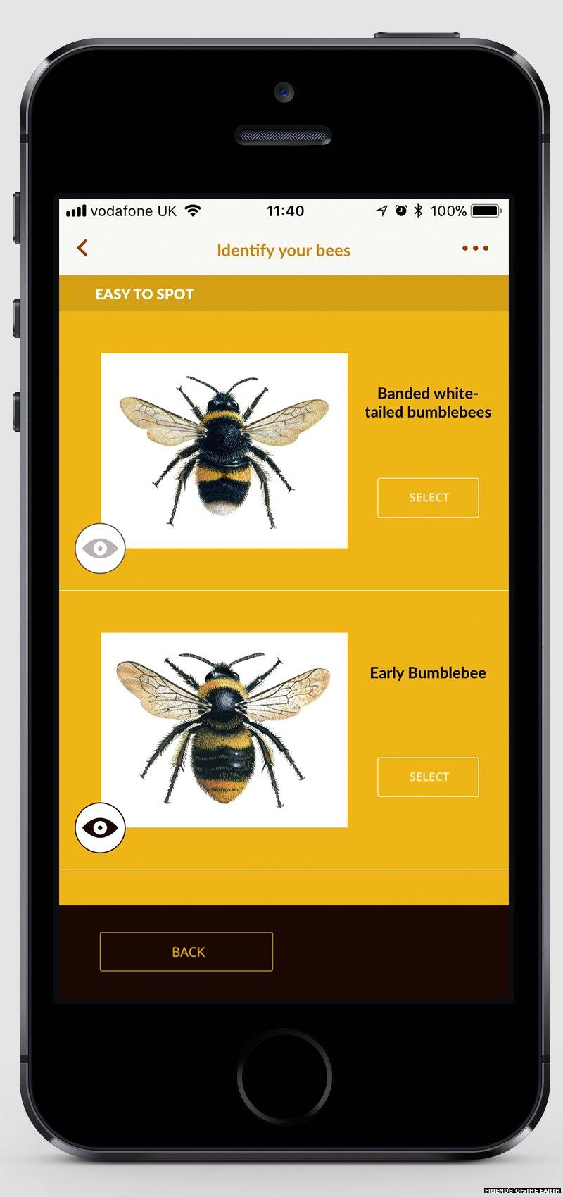 The Great British Bee Count app