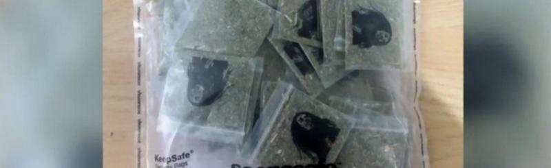 Times Square car crash driver Richard Rojas 'heard voices' - BBC News