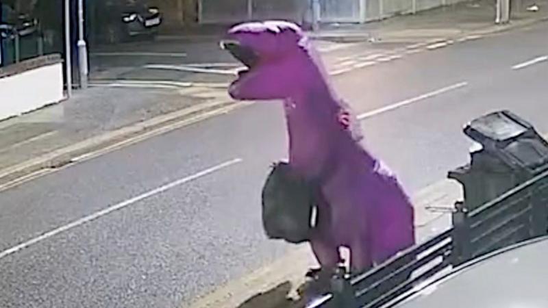 Giant purple dinosaur caught fly-tipping on CCTV