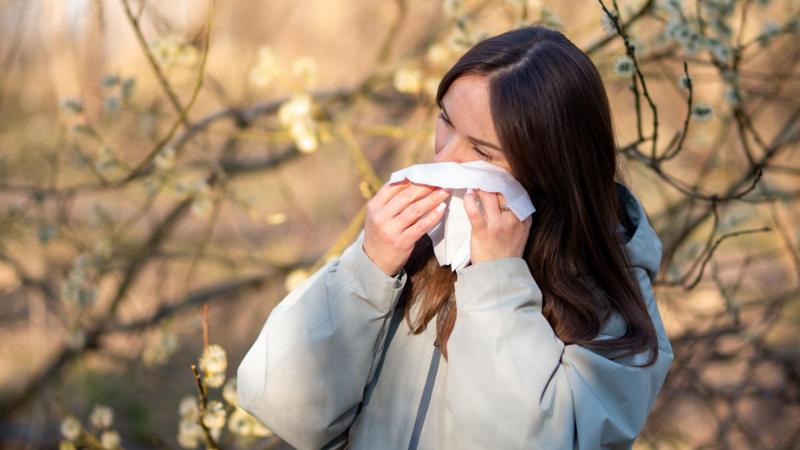 Hay fever misery does last longer - here is how to cope
