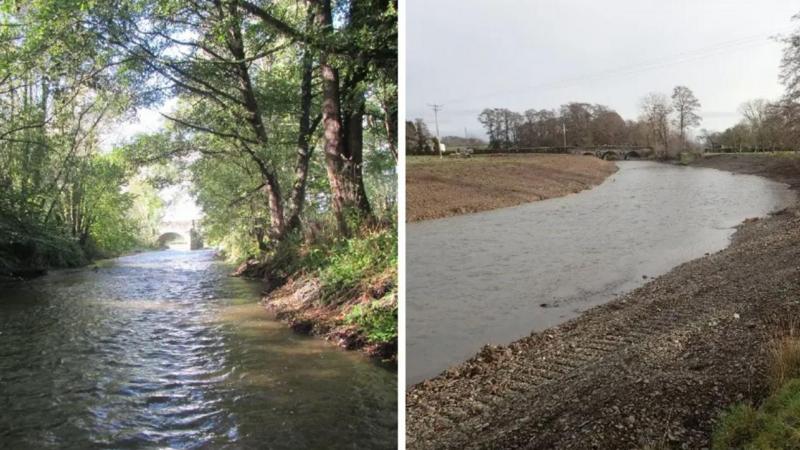 River will take decades to recover from 'vandalism', ecologist says