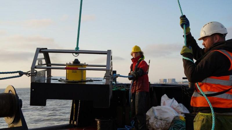 How £50m 'fish disco' could save farmland