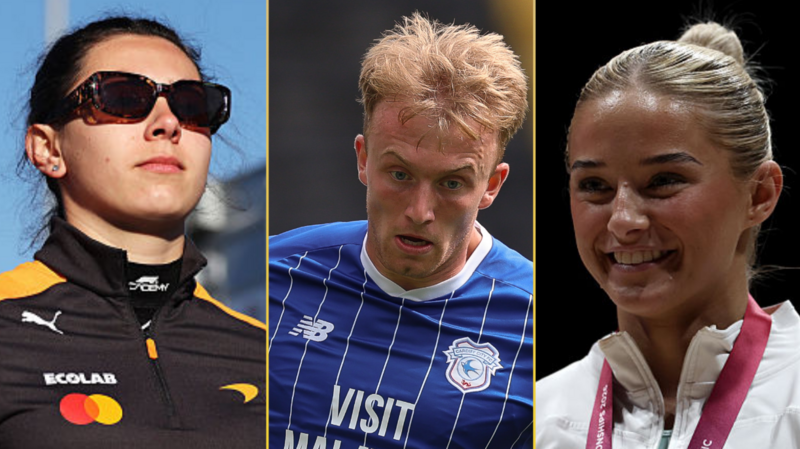 Beyond the comments: How athletes navigate social media