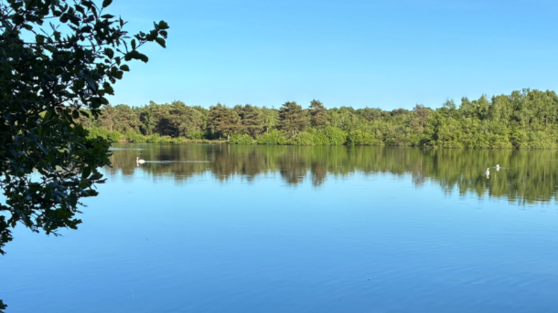 Search for boy, 15, missing in nature reserve lake