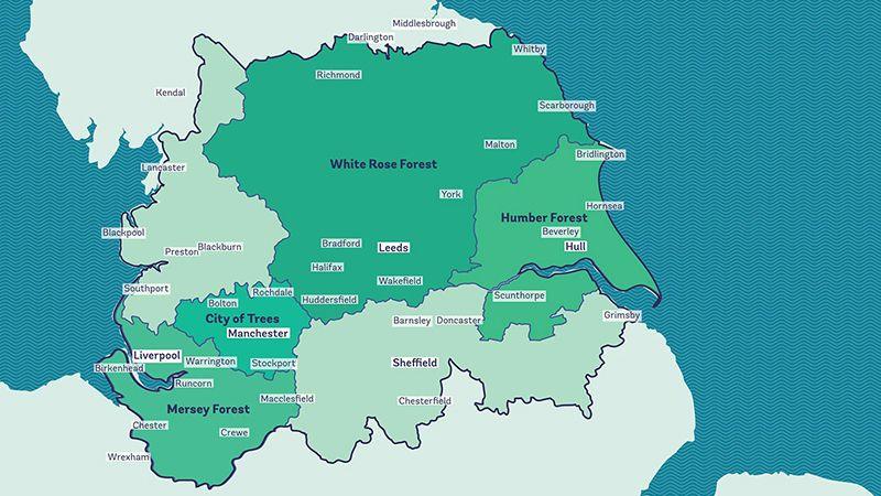 A map shows the different areas of forest. Mersey Forest, City of Trees, White Rose Forest and Humber Forest. 