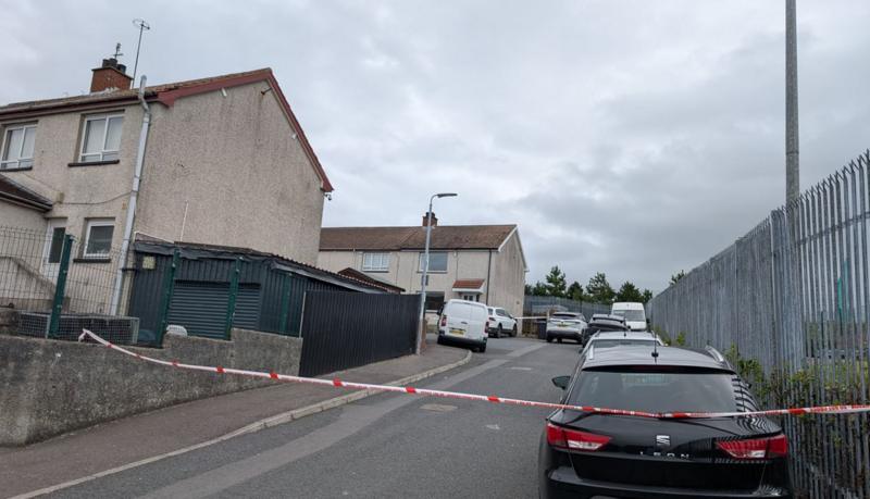 Murder inquiry launched after death in County Down