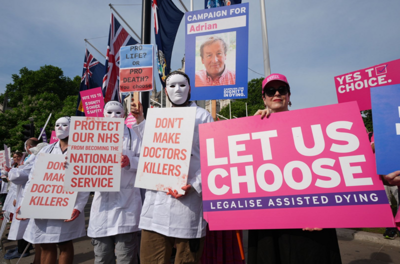Lords urged to scrutinise but not block assisted dying law