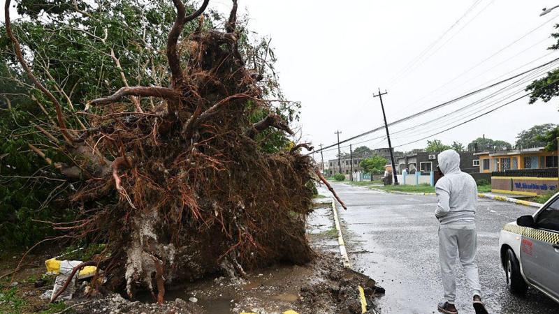 Windows blown in, trees uprooted and croc warnings - Hurricane Melissa batters Jamaica