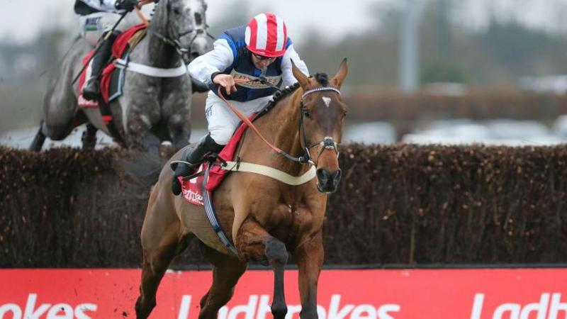 Redknapp's Jukebox Man confirmed for Gold Cup