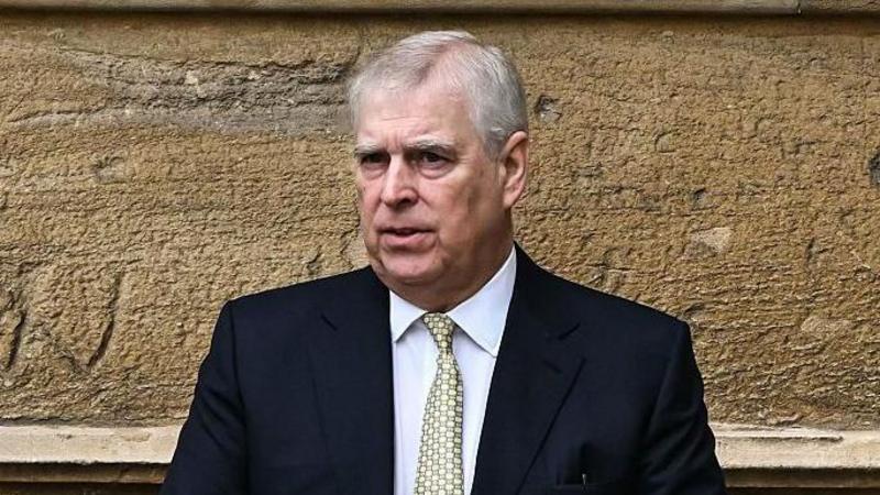 MPs may investigate Andrew over trade envoy claims