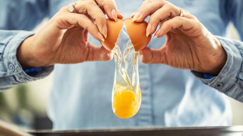 UK salmonella cases nearing 500 as egg investigations continue