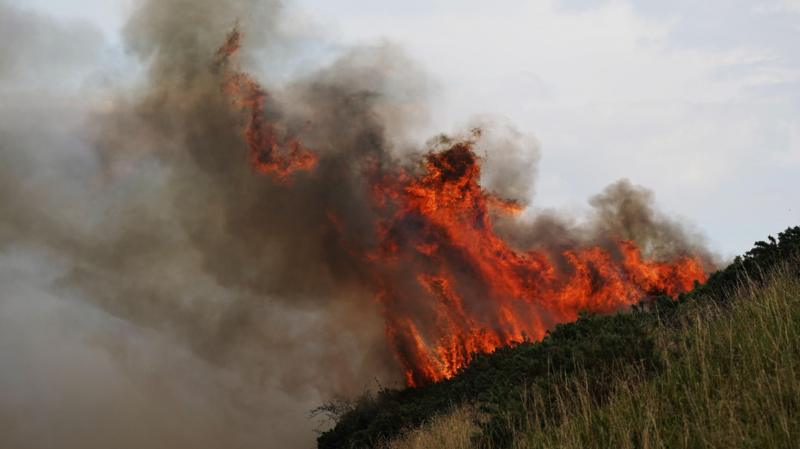 Forty-day moor fire caused by 'cooking  in forest'