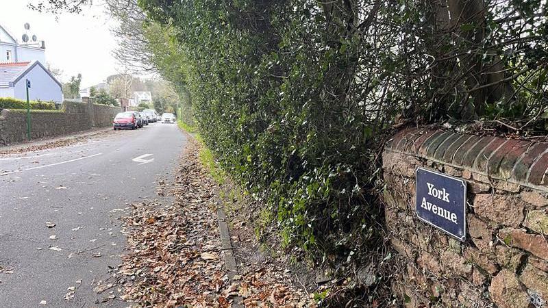 A leaf-covered road with trees down one side an a blue York Avenue sign on a small wall.