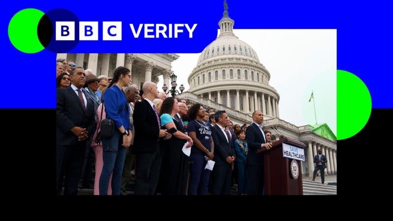 Are Democrats really pushing for free healthcare for undocumented migrants?